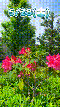 OCカメラサムネイル画像