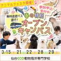 仙台ＥＣＯ動物海洋専門学校 春の特別アニマルフェスタ☆彡