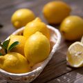 レモンパンを作ろう（駅徒歩7分、在学生と一緒に試食）／西武学園医学技術専門学校