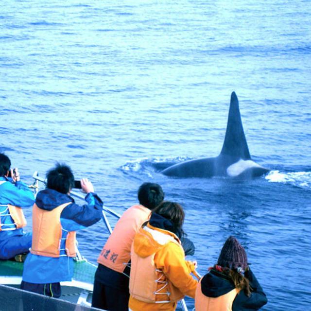 大阪ECO動物海洋専門学校 海洋調査員まるわかり講座!!1