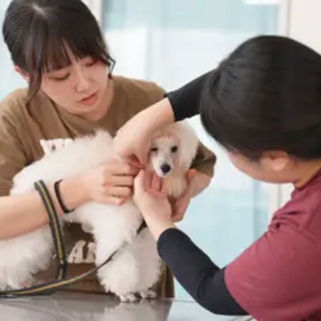 専門学校ビジョナリーアーツ 動物看護学科説明会 ＆お仕事体験1