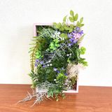 グリーンデザイン実習★観葉植物の壁掛けグリーンアートづくりの詳細
