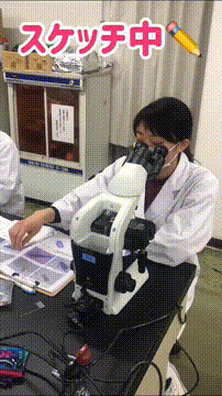 OCカメラサムネイル画像