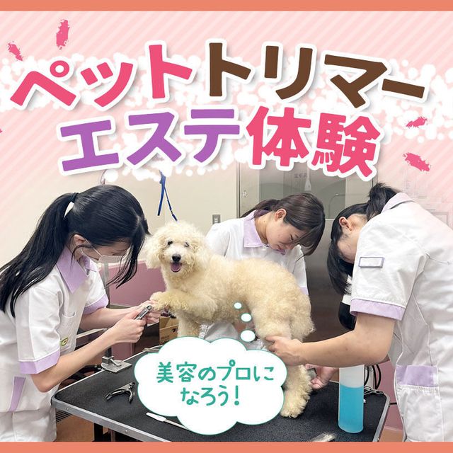 ＴＣＡ東京ＥＣＯ動物海洋専門学校 ペットトリマーエステ体験1