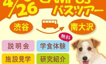 ヤマザキ動物看護大学のブログインフォ一覧 25 スタディサプリ 進路