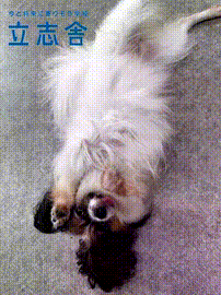 OCカメラサムネイル画像