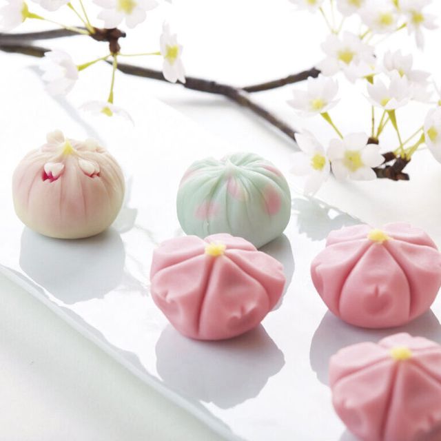 辻調理師専門学校 ＜講習編＞和菓子「桜餅・練切」1