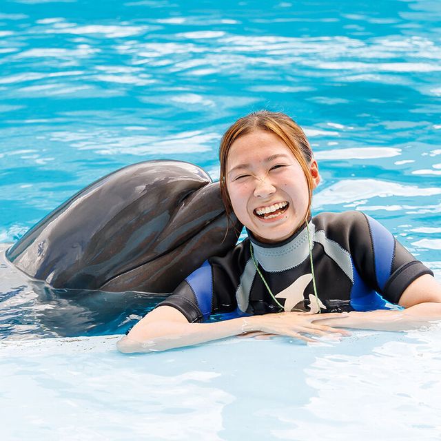 名古屋ＥＣＯ動物海洋専門学校 【ドルフィントレーナー】トレーナーのお仕事について学ぼう！1