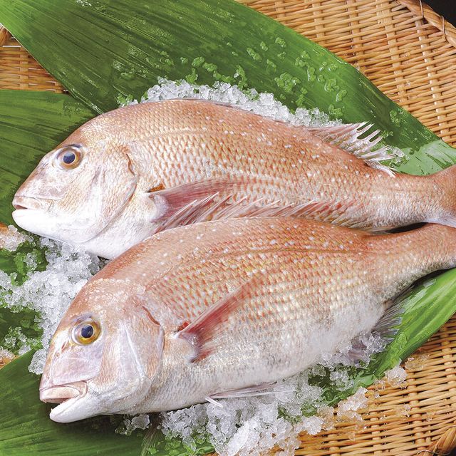 辻調理師専門学校 日本料理「鯛一尾スペシャル」1