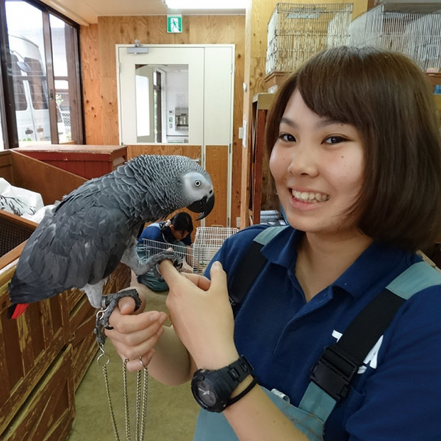東京コミュニケーションアート専門学校 小動物の健康管理と取り扱い方法1