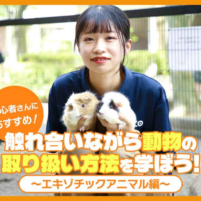 ＴＣＡ東京ＥＣＯ動物海洋専門学校 動物の取り扱い方法を学ぼう　エキゾチックアニマル編1