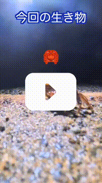 OCカメラサムネイル画像