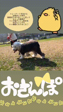 OCカメラサムネイル画像