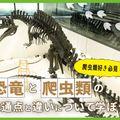 ＴＣＡ東京ＥＣＯ動物海洋専門学校 恐竜と爬虫類の共通点と違いについて学ぼう
