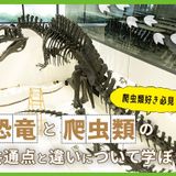 恐竜と爬虫類の共通点と違いについて学ぼうの詳細