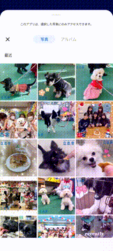 OCカメラサムネイル画像