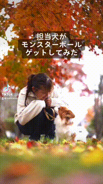 OCカメラサムネイル画像
