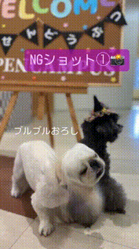 OCカメラサムネイル画像