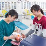 【大好評】歯科衛生士のお仕事体験☆オープンキャンパスの詳細
