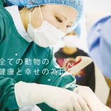 詳細を見る