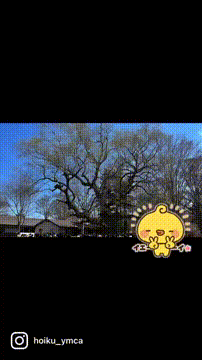 OCカメラサムネイル画像