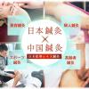 日本医専 「日本鍼灸」×「中国鍼灸」