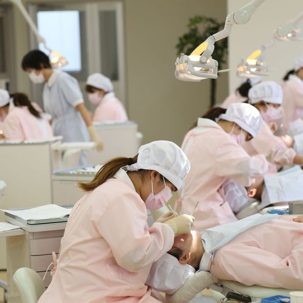 長野平青学園 資料請求 願書請求 学校案内 スタディサプリ 進路