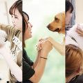 大型犬で体験！3専攻よくばり体験【ワンコ】／専門学校ビジョナリーアーツ