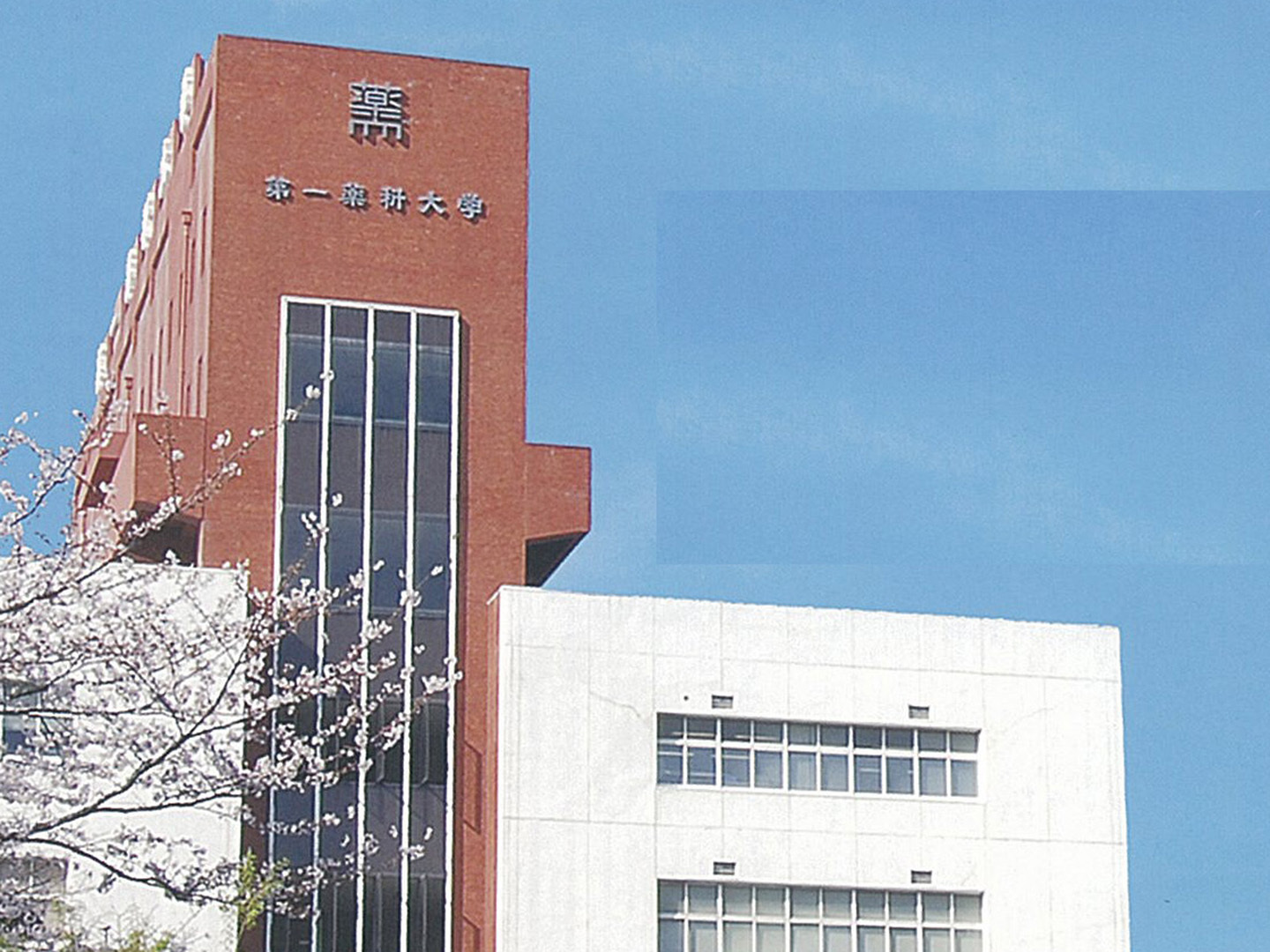 第 一 薬科 大学