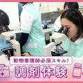 ＴＣＡ東京ＥＣＯ動物海洋専門学校 動物病院の調剤体験