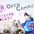 ヤマザキ動物専門学校 専門学校　オープンキャンパス（半日コース）