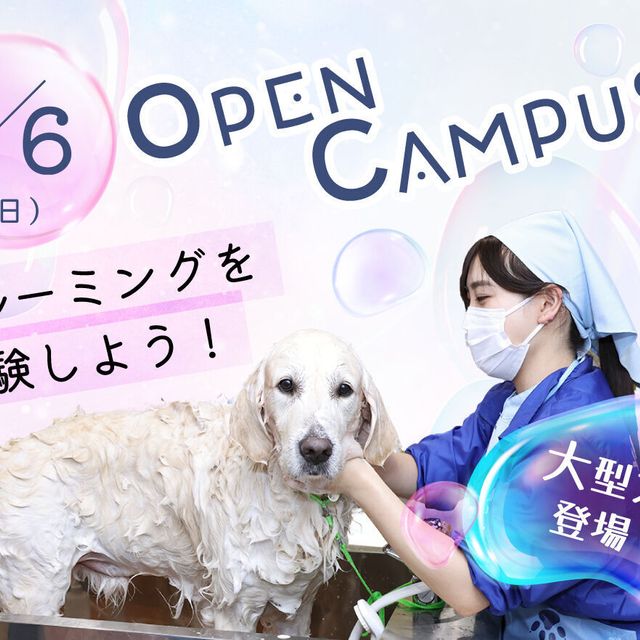 ヤマザキ動物専門学校 専門学校　オープンキャンパス（半日コース）1