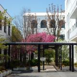 2025年度高校3年生、既卒者対象！　☆土曜開催☆　学校見学の詳細