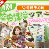 【各回5組限定】個別校舎案内ツアーの詳細