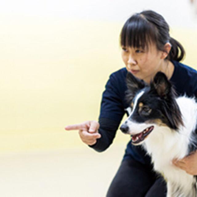 専門学校ビジョナリーアーツ 警察犬訓練士のお仕事体験1