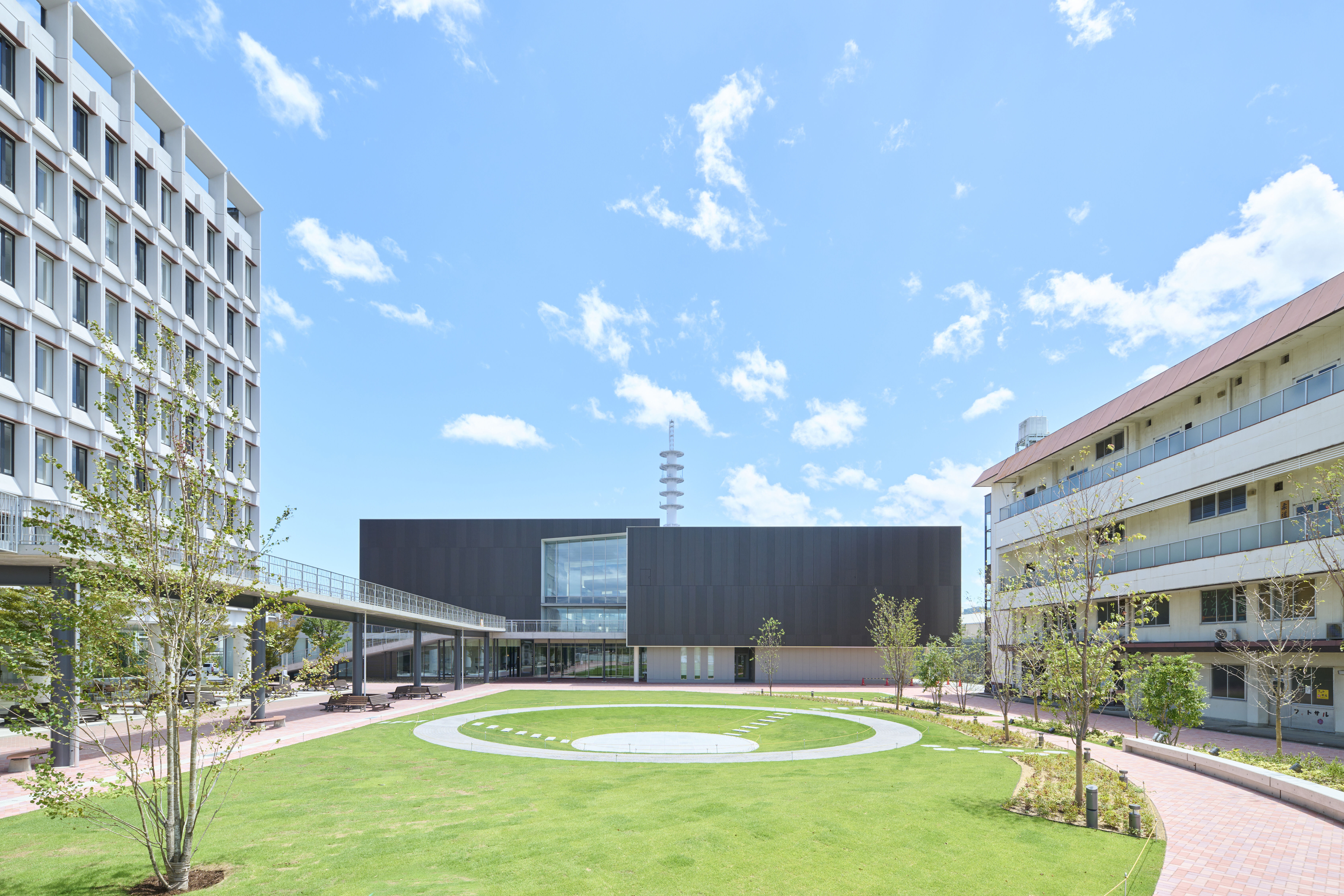 大阪電気通信大学 資料・願書請求｜AI時代の資格取得でキャリアを創造