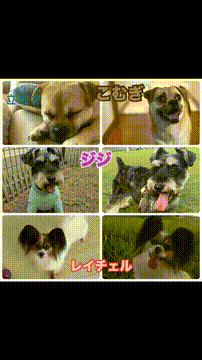 OCカメラサムネイル画像