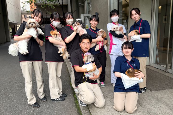 サブ画像