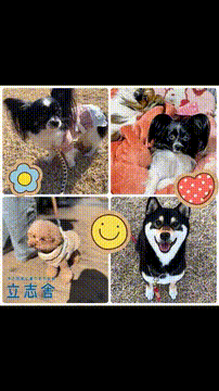 OCカメラサムネイル画像