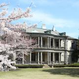 オープンキャンパス「春の進学相談会」の詳細