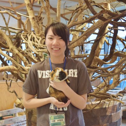 在校生レポート画像