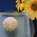 京都製菓製パン技術専門学校 【和菓子】【茶室試食】花火外郎&ねりきり体験