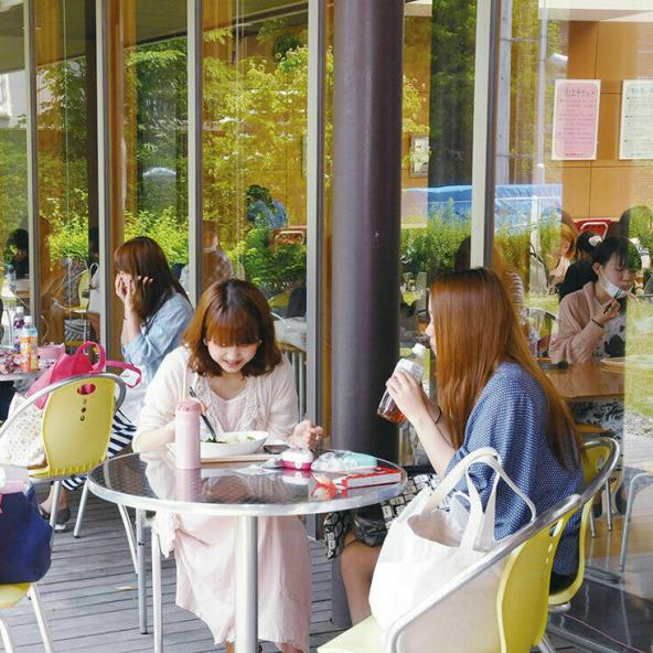 淑徳大学短期大学部 資料請求 願書請求 学校案内 スタディサプリ 進路