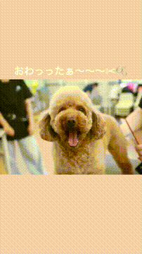 OCカメラサムネイル画像