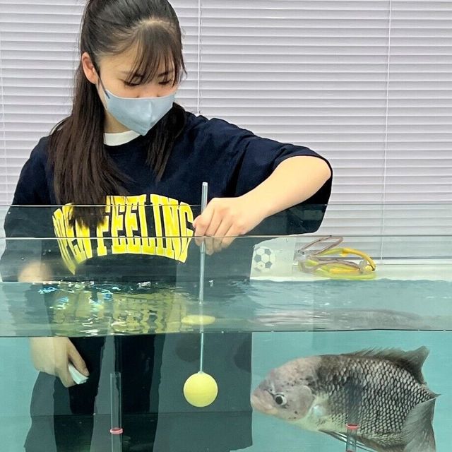 国際ペットワールド専門学校 【古町キャンパス限定】２/１４バレンタイン特別企画！3