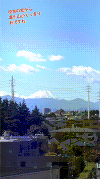 OCカメラサムネイル画像