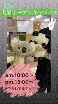 OCカメラサムネイル画像