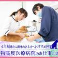 ＴＣＡ東京ＥＣＯ動物海洋専門学校 動物高度医療病院のお仕事とは？