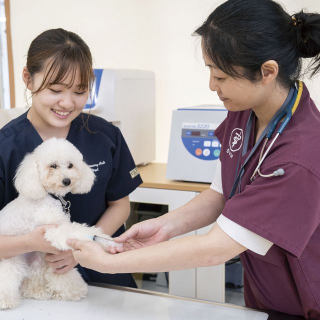専門学校　福岡ビジョナリーアーツ 【ペット】3専攻よくばり体験【ワンコ】3