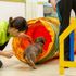 東京ブレーメン動物専門学校 夏休みトレーニング体験！2